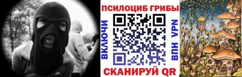 Псилоцибиновые грибы мухоморы  где купить   Голицыно 